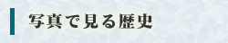 ʐ^Ōj